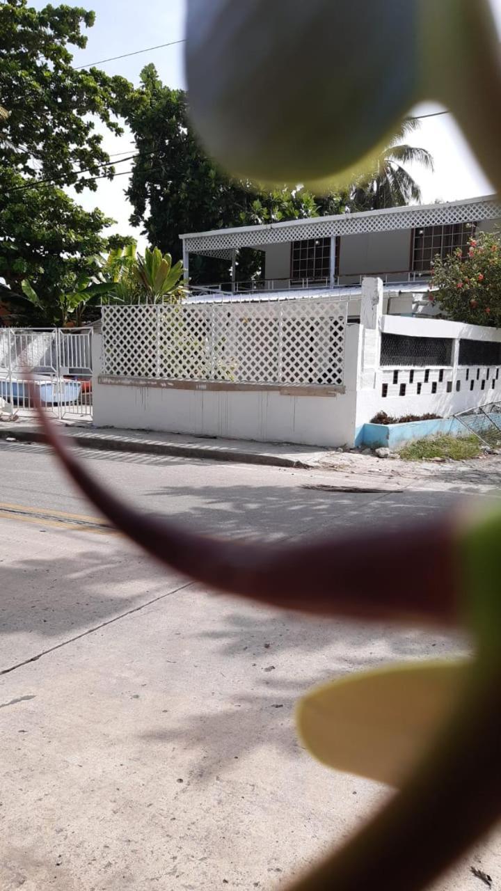 Joebi'S House Walking Distance To Rocky Cay Beach Ideal For Families Or Groups Buenavista  Esterno foto